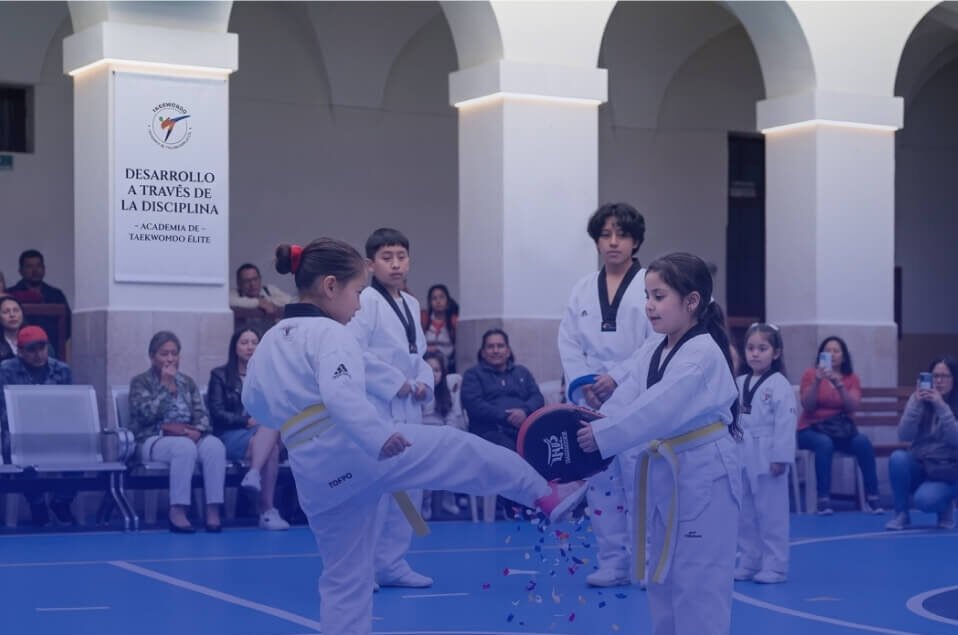 Artes marciales